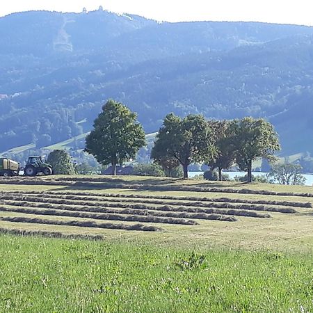 Hideaway Lägenhet Zell am Moos Exteriör bild