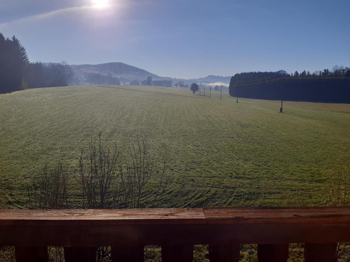 Hideaway Lägenhet Zell am Moos Exteriör bild