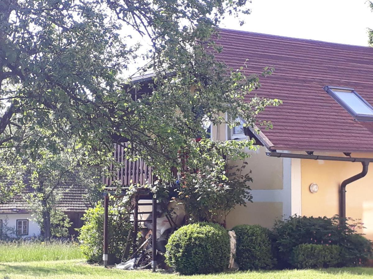 Hideaway Lägenhet Zell am Moos Exteriör bild